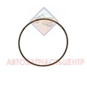 0501-314-396 Уплотнительное кольцо заднего моста (поршень)